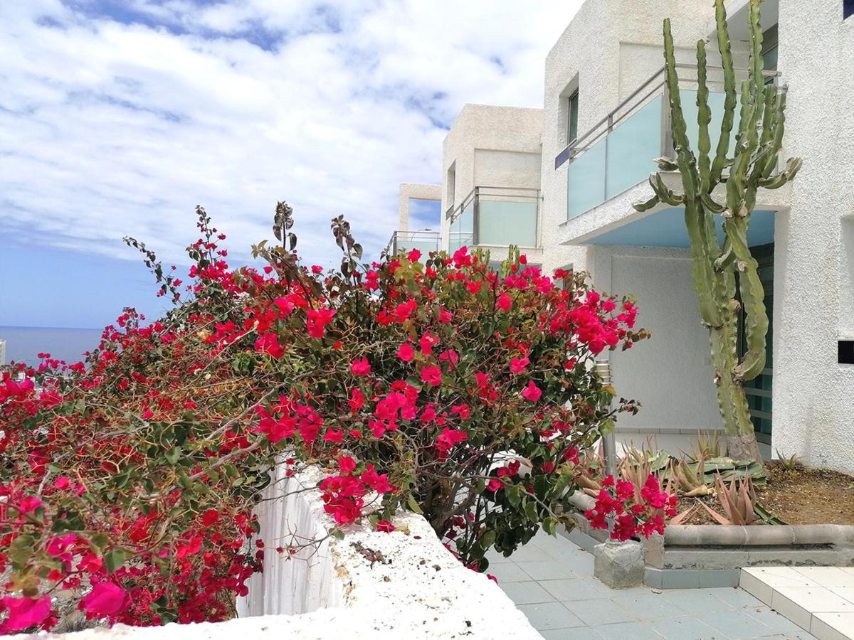 Marianela Apartment بورتو ريكو المظهر الخارجي الصورة